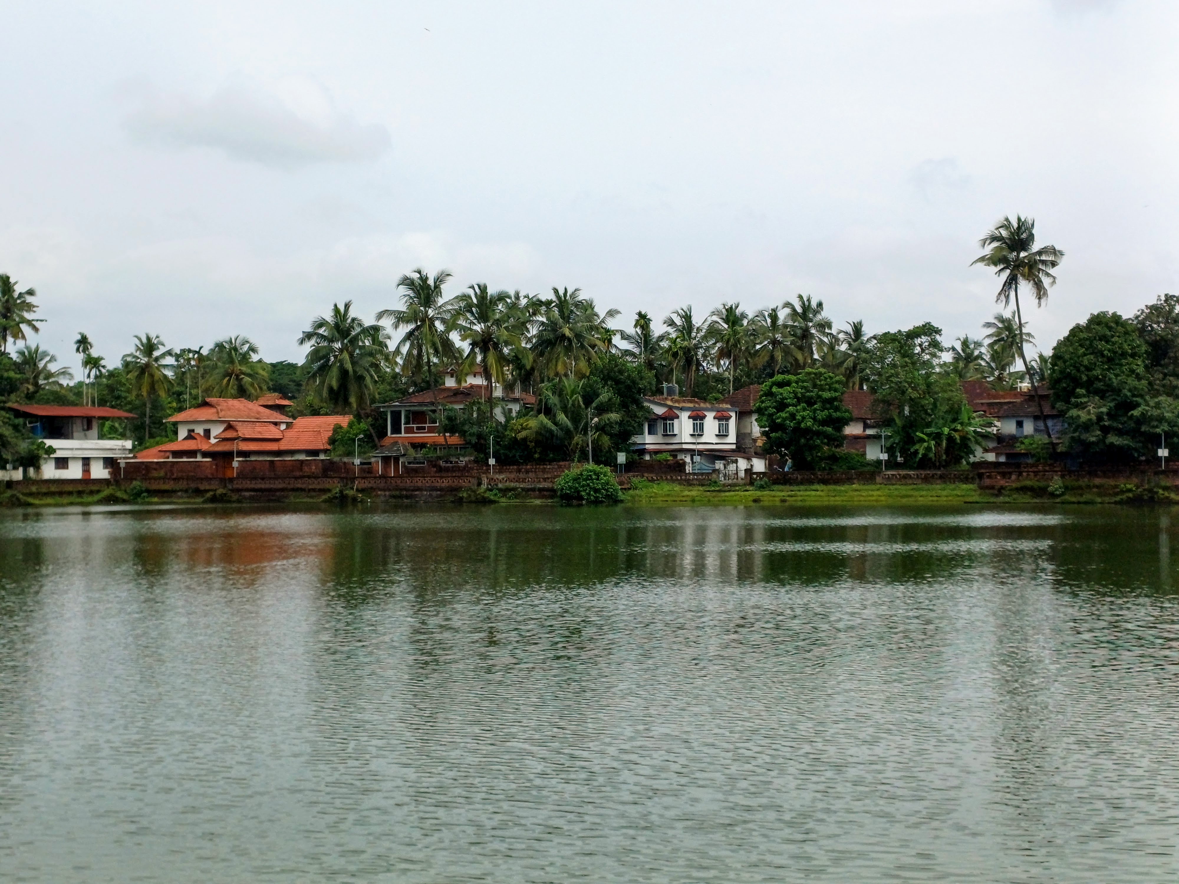 A palm-lined backwater with tiled houses along the far bank