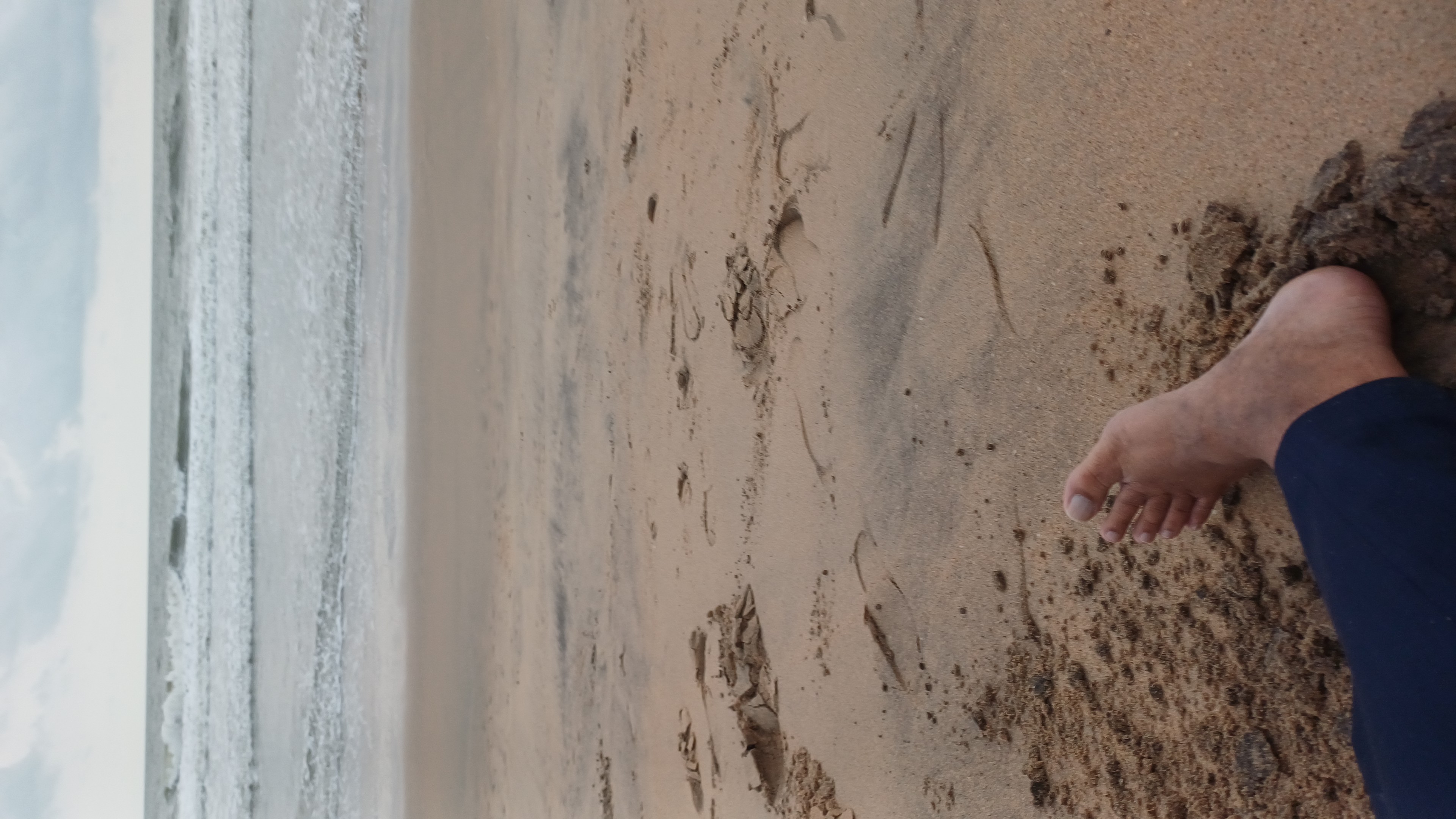 A bare foot stepping onto wet sand at the shoreline, the ocean stretching out ahead
